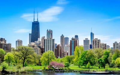 Website Strategies for Real Estate Brands With Multiple Offices, Markets, or Agent Teams